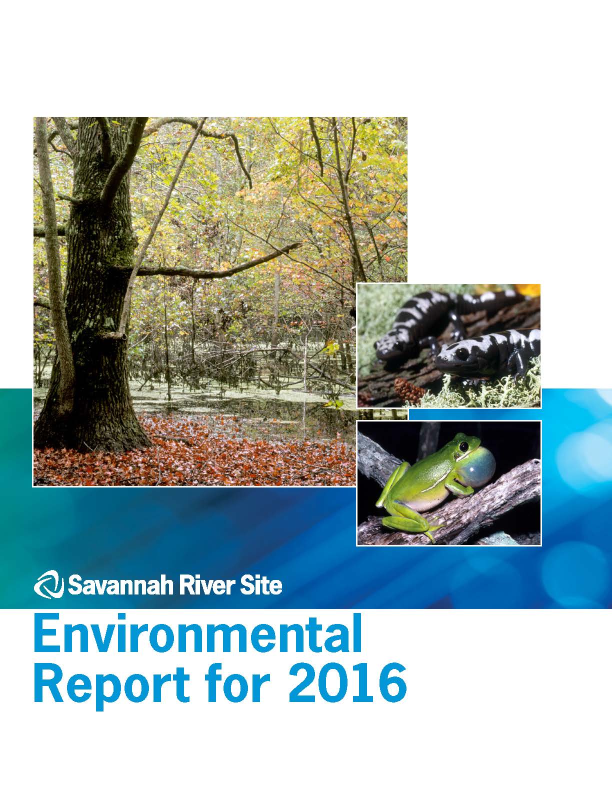 SRS Environmental Report 2016