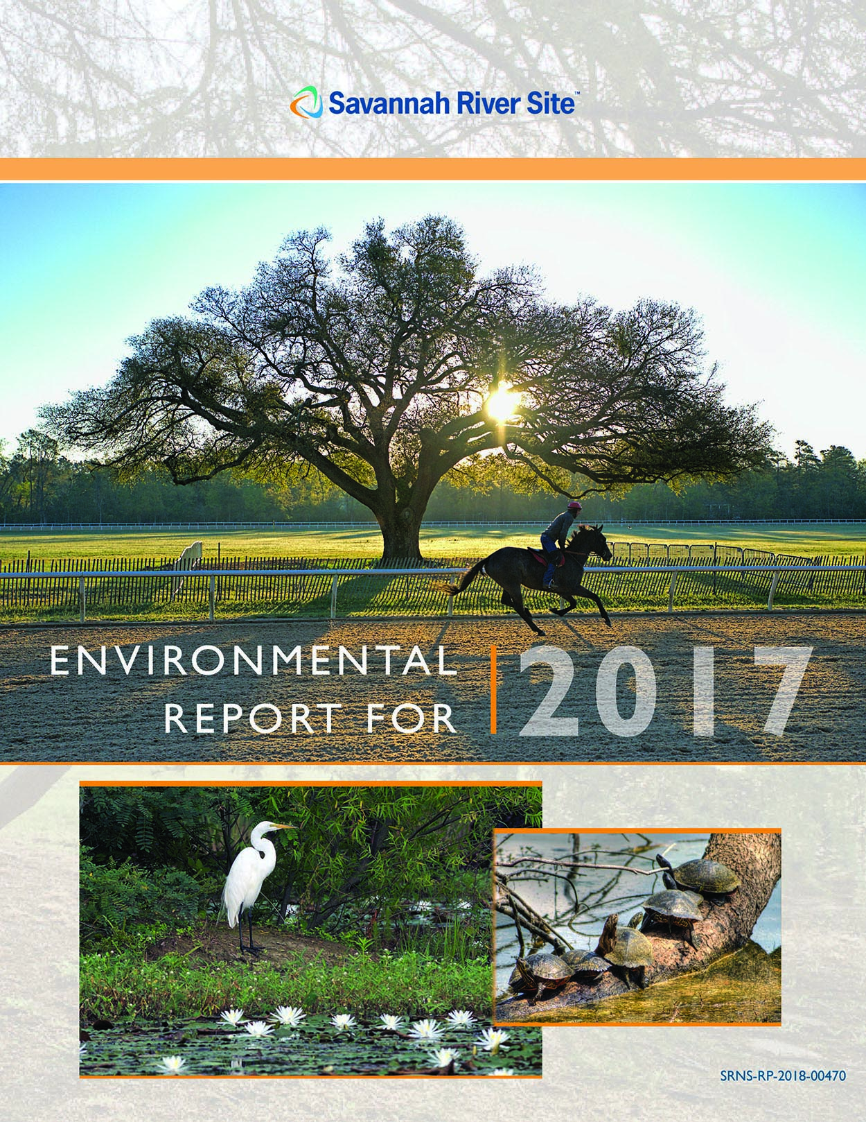 SRS Environmental Report 2017