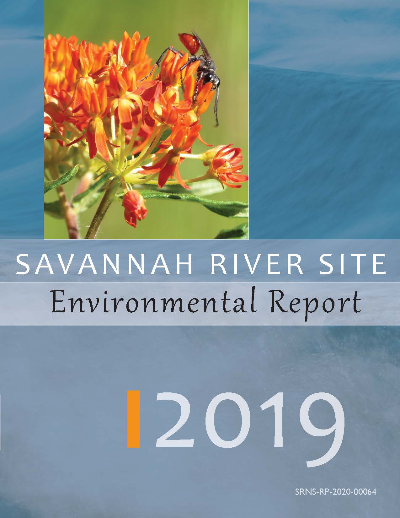 SRS Environmental Report 2019