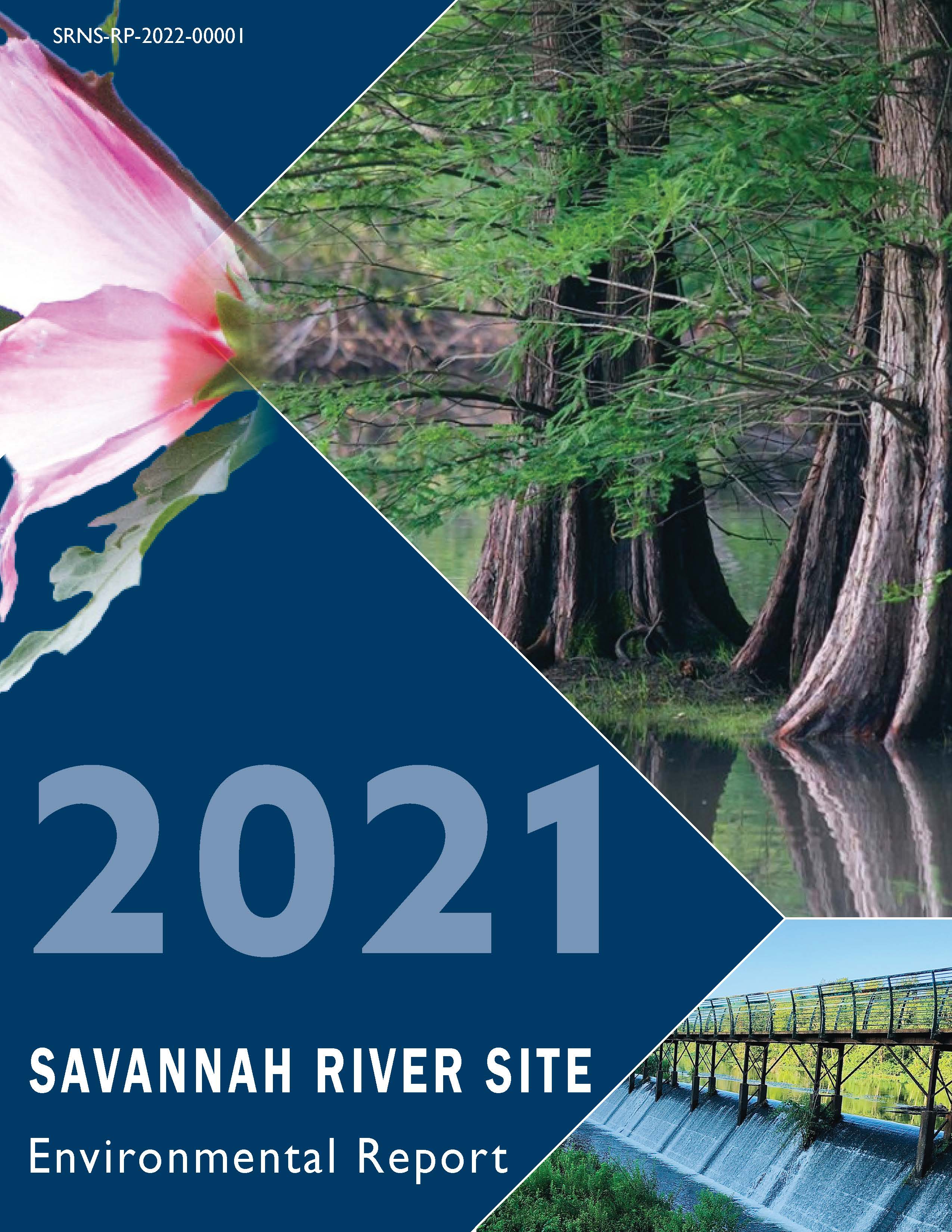 SRS Environmental Report 2021